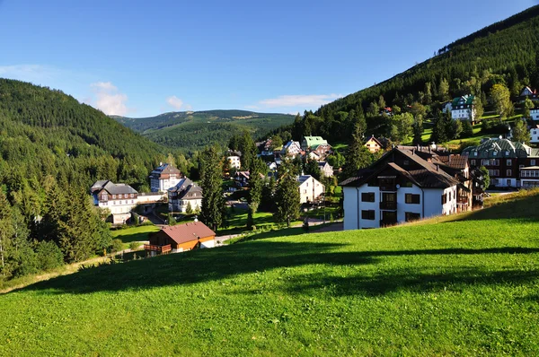 Gröna kullar — Stockfoto