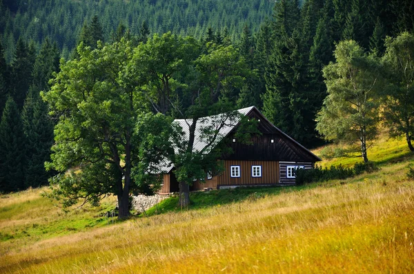 Eski geleneksel Çek ev — Stok fotoğraf