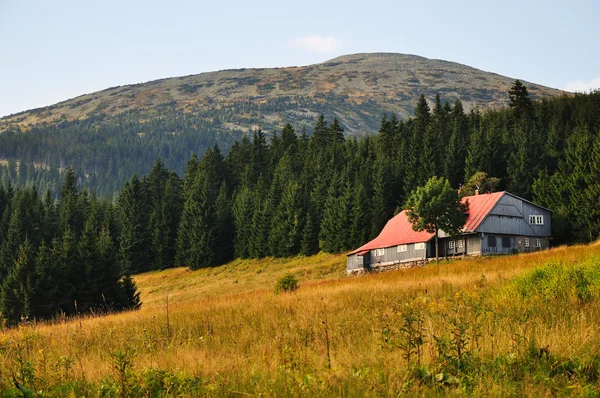 Old traditional czech house — Stock Photo, Image