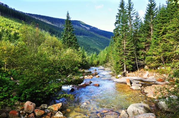 nehir bear creek