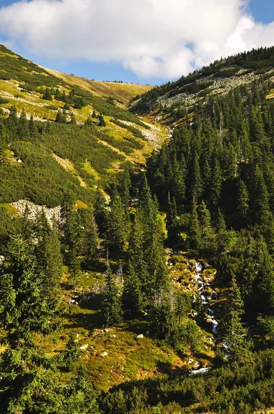 Bergpfad — Stockfoto