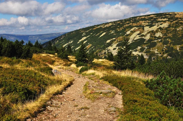 Dağ yolu — Stok fotoğraf