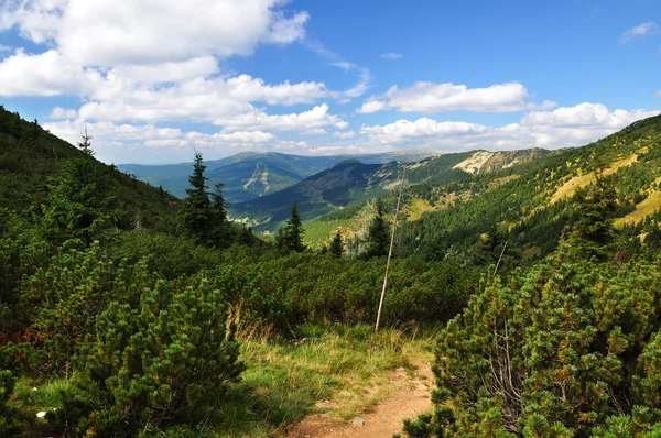 Dağ yolu — Stok fotoğraf