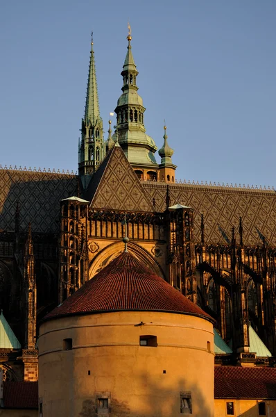 St. Vitus Cathedral — Stock Photo, Image