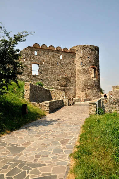 Ruines du château de Devin — Photo