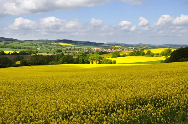 Paesaggio pittoresco — Foto Stock