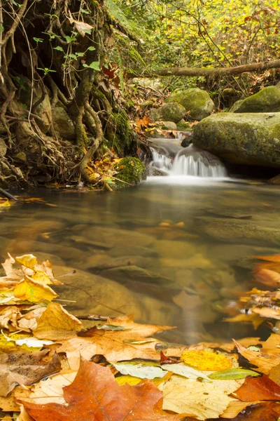 Creek en otoño — Foto de Stock