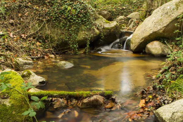 Stroom in het najaar — Stockfoto