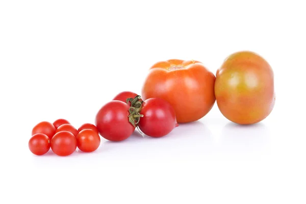 Drei Arten von Tomaten — Stockfoto