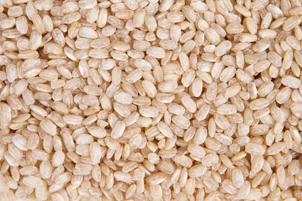 Arroz inteiro — Fotografia de Stock