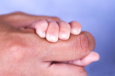 Bebek ve yetişkin eller