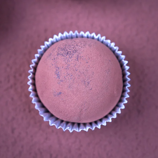 Cocoa truffle — Stock Photo, Image