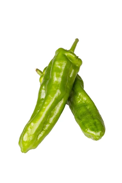 Dois pimentos verdes — Fotografia de Stock