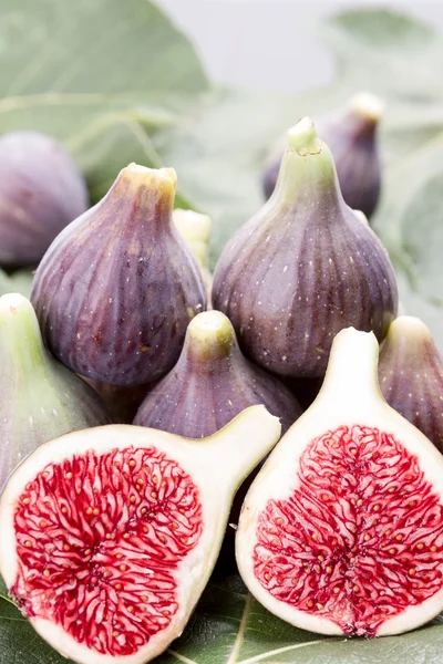 Fig fruit — Stock Photo, Image