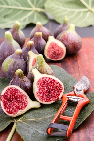 Figs and secateurs — Stock Photo, Image