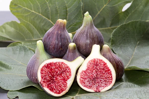 Fig fruit is a healthy food — Stock Photo, Image