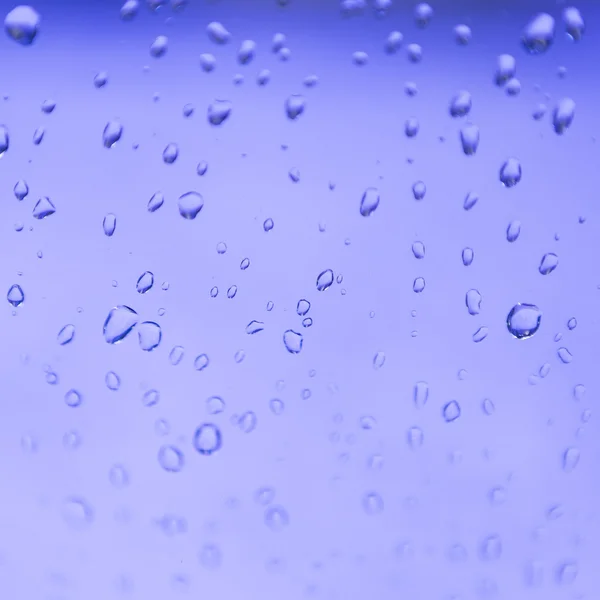 Blue drops Stock Image