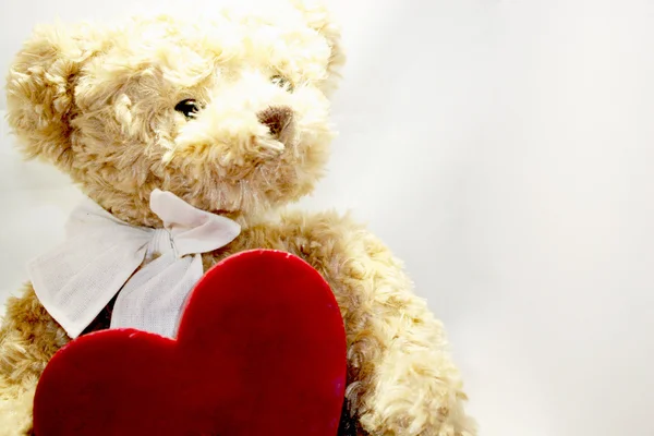 Ursinho lindo Teddy com coração e rosa vermelha — Fotografia de Stock