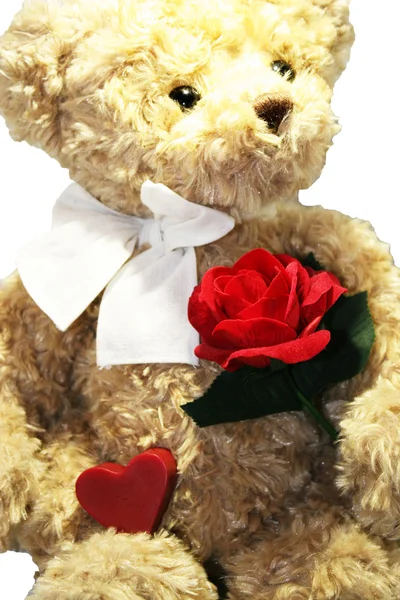 Schöner Teddybär mit Herz und roter Rose — Stockfoto