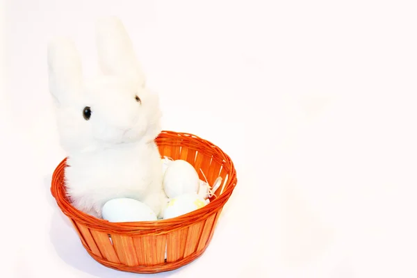 Schattig wit Oost-bunny in een mand met Oost-eieren — Stockfoto