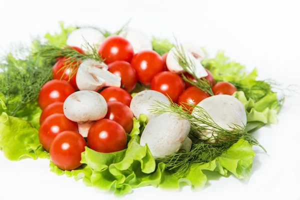 Tomatoes with mushrooms on the green — Stock Photo, Image