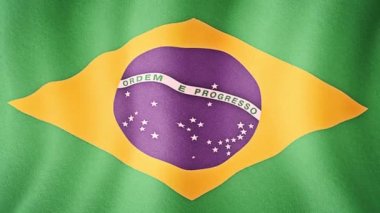 doku Brezilya bayrağı