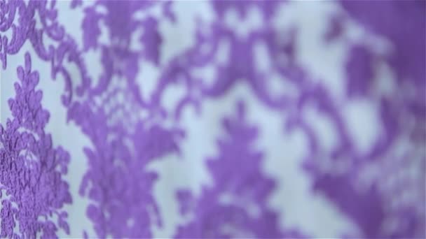 Purple wallpaper — Stock Video
