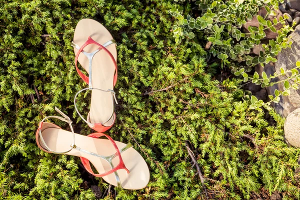 Sandals, women's elegant shoes in nature — Stock Photo, Image