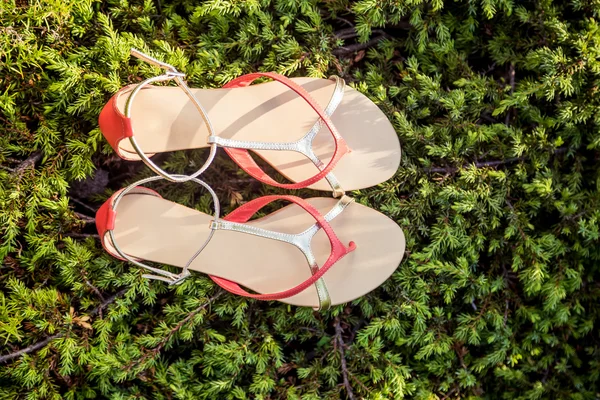 Kadınlar yaz sandalet çim üzerinde yalan — Stok fotoğraf