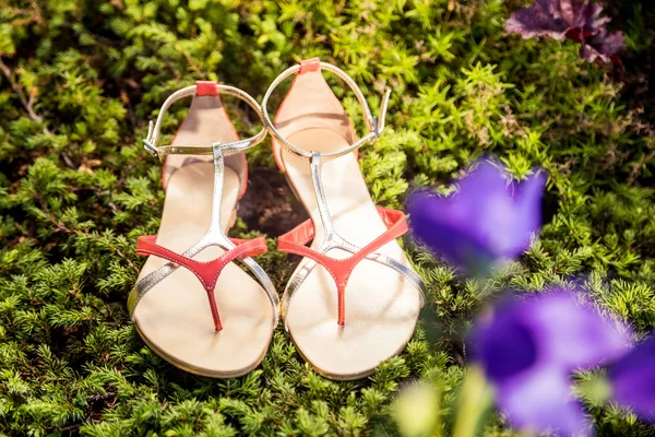 Italienische Schuhe, stylische Sandalen liegen im Gras — Stockfoto