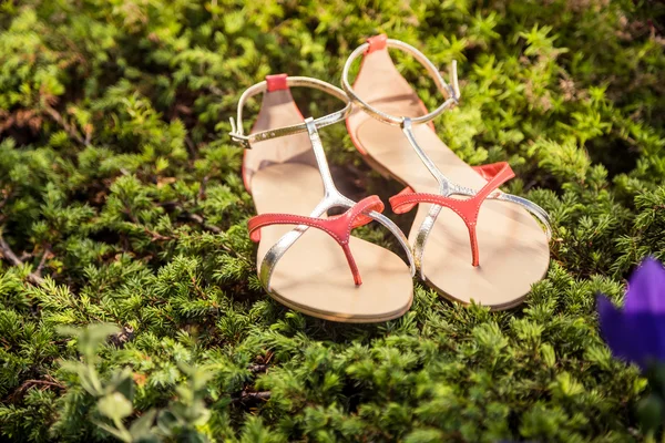 Chaussures italiennes, sandales élégantes reposent sur l'herbe — Photo