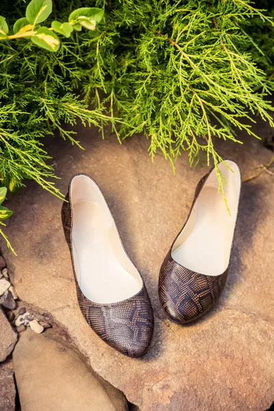 Pisos de ballet de piel de serpiente, zapatos de mujer en una roca — Foto de Stock