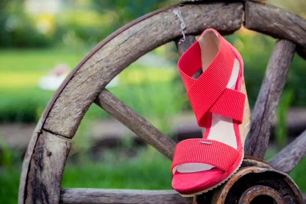 Damensandalen auf dem Rad, italienische Schuhe — Stockfoto