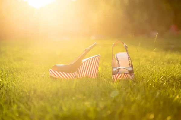 Stylish sandals, lie on the grass in the garden — Stock Photo, Image