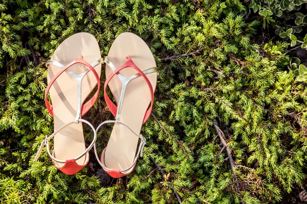 Pantofi italieni, sandale elegante se află pe iarbă — Fotografie, imagine de stoc