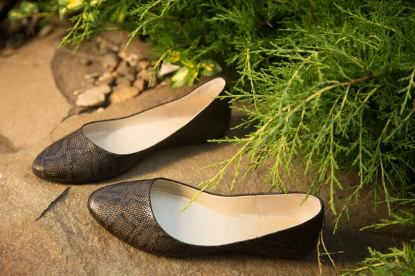 Pisos de ballet de piel de serpiente, zapatos de mujer en una roca —  Fotos de Stock