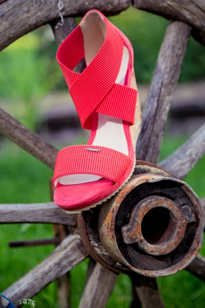 Kirkkaat kengät, naisten sandaalit, kengät puutarhassa — kuvapankkivalokuva