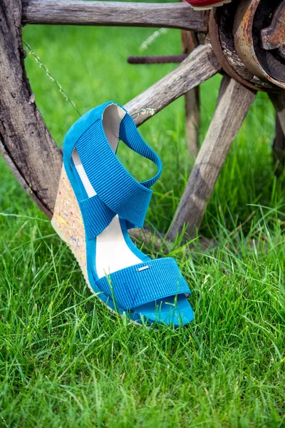 Zapatos brillantes, sandalias de mujer, zapatos en el jardín — Foto de Stock