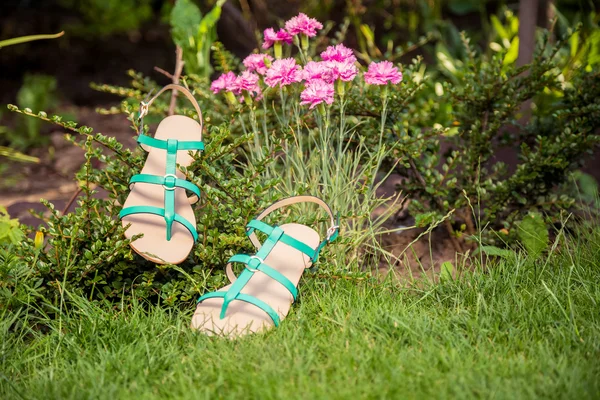 Sandals hanging on a bush, women's shoes — Stock Photo, Image