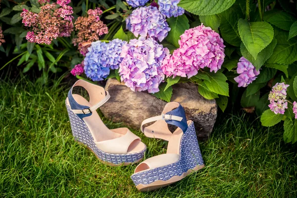Sandalias beige con suelas azules se encuentran en la hierba — Foto de Stock