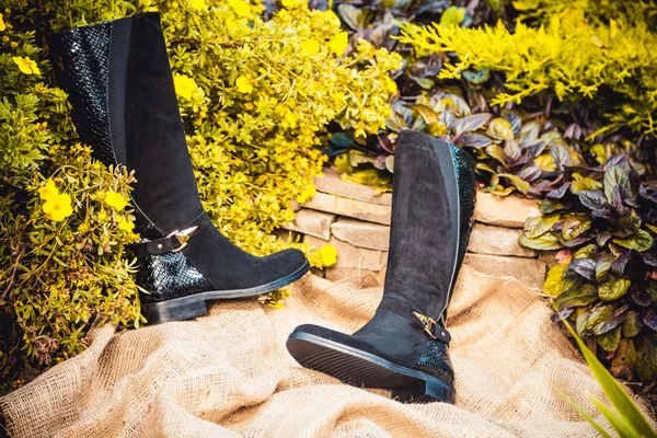 Botas de gamuza negro en el jardín de otoño, zapatos de mujer — Foto de Stock