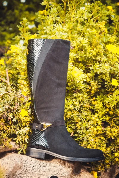 黑色麂皮绒靴在秋天的花园里，女人的鞋子 — 图库照片