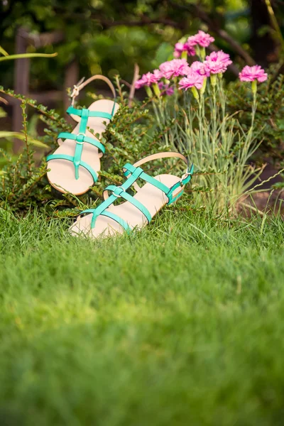 Sandalias colgando de un arbusto, zapatos de mujer — Foto de Stock