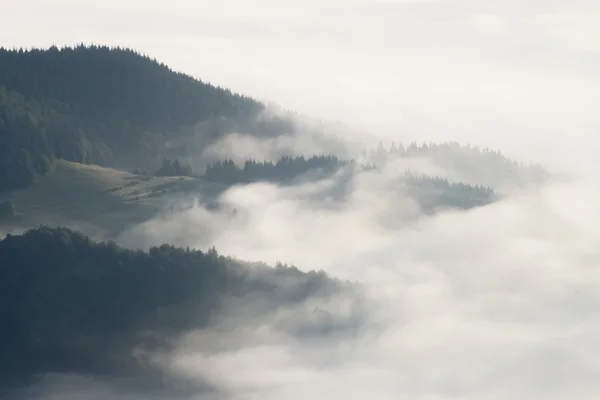 Niebla de otoño — Foto de Stock