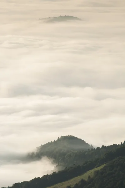 Nebbia autunnale — Foto Stock