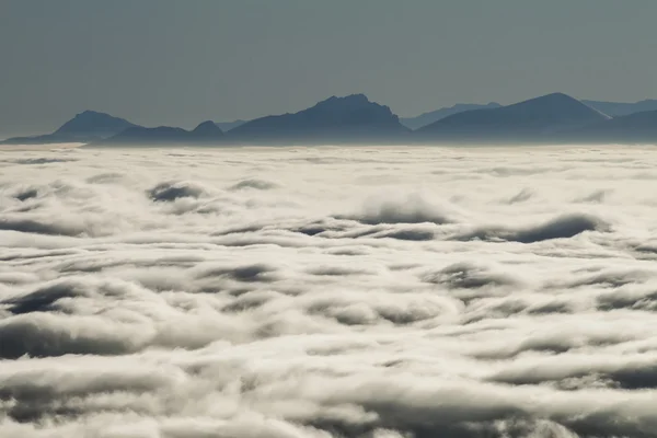Niebla invierno montañas —  Fotos de Stock