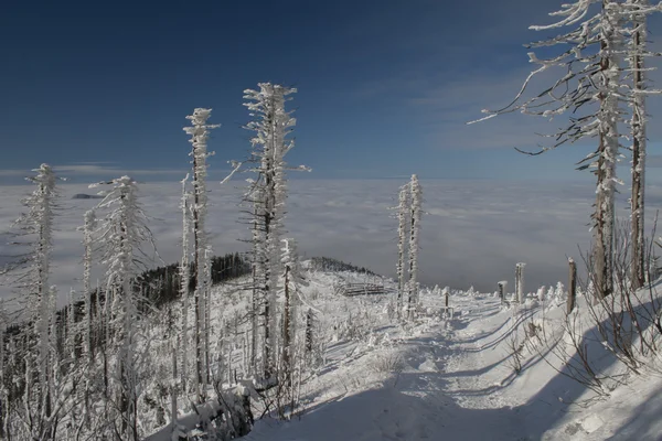 Brouillard de montagne — Photo