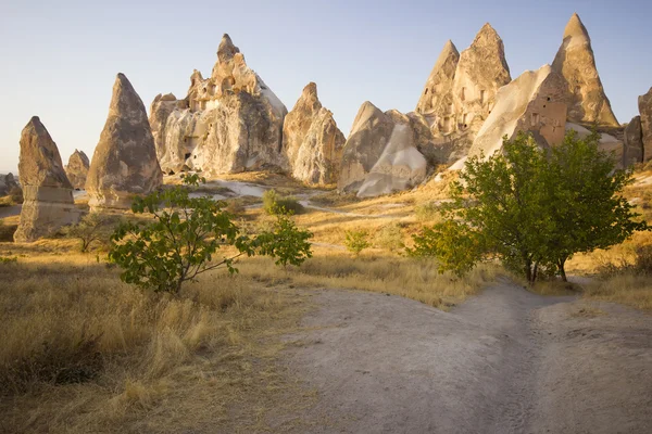 Cappadocia (七面鳥) — ストック写真