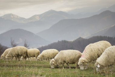 Velka fatra, Slovakya