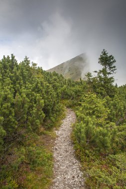 düşük tatras, Slovakya